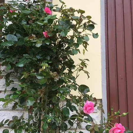 Il Poggiolo Villa Monte San Savino